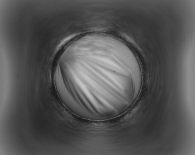 X0000082971214200703020227