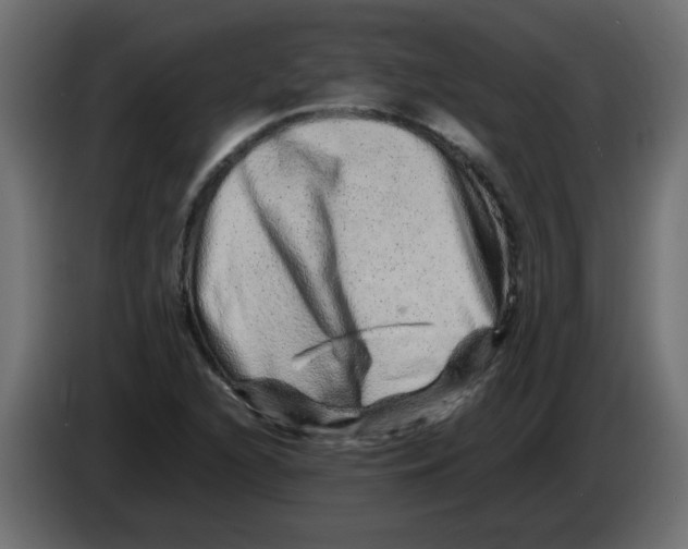 X0000082971216200703020227