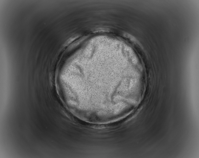 X0000082971217200703020227