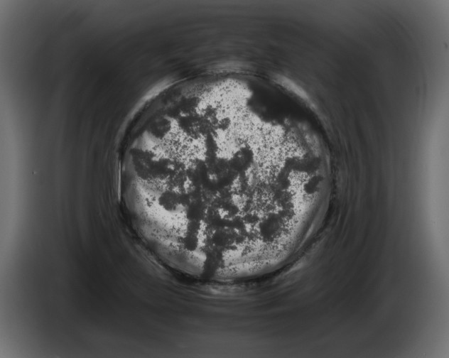 X0000082971219200703020227