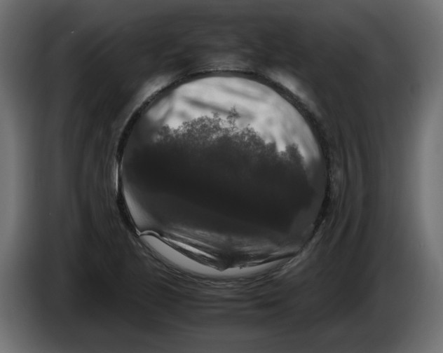 X0000082971221200703020227