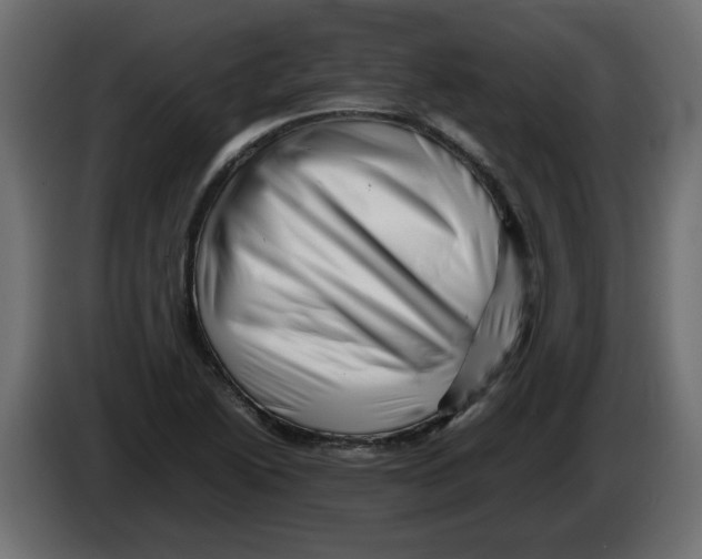 X0000082971222200703020227