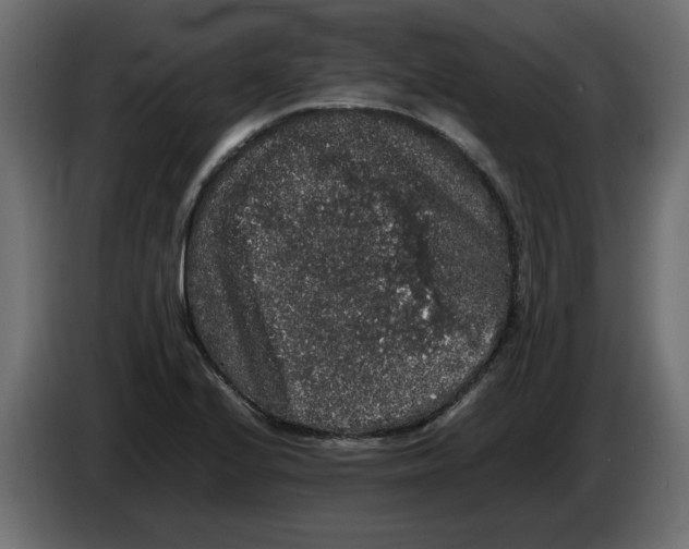 X0000082971224200703020227