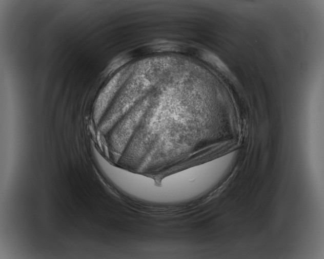 X0000082971225200703020227