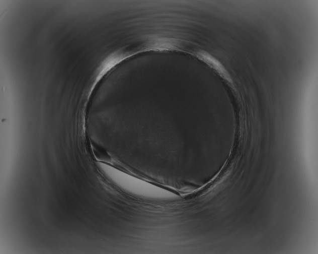 X0000082971226200703020227