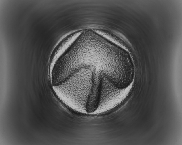 X0000082971228200703020227