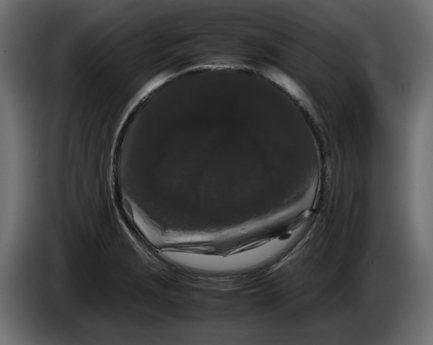 X0000082971229200703020227