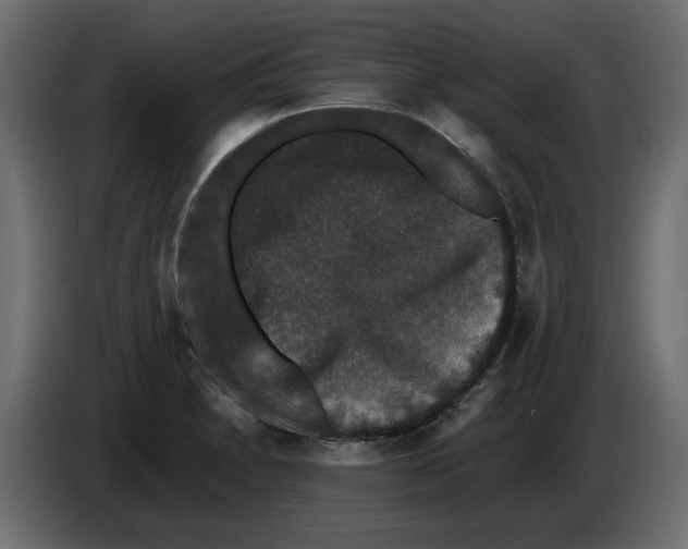 X0000082971230200703020227