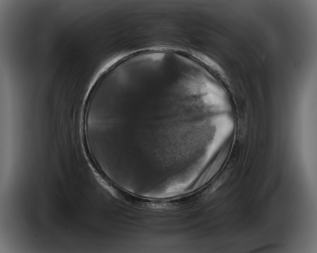 X0000082971231200703020227