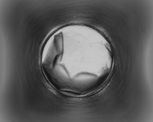 X0000082971232200703020227