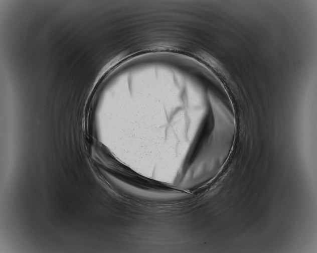 X0000082971234200703020227