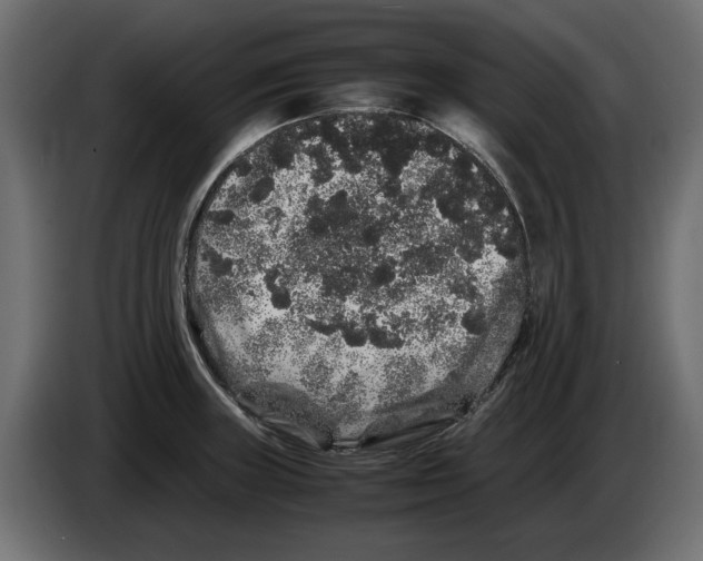 X0000082971235200703020227