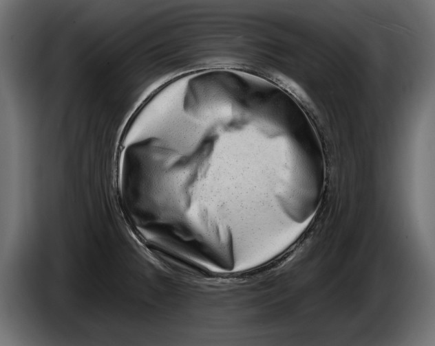 X0000082971236200703020227