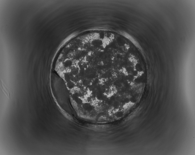 X0000082971237200703020227