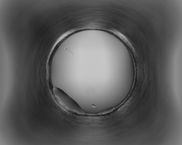 X0000082971238200703020227