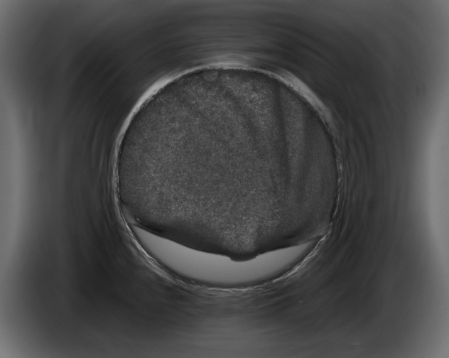 X0000082971240200703020227