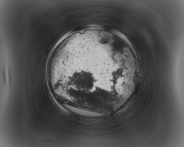 X0000082971243200703020227