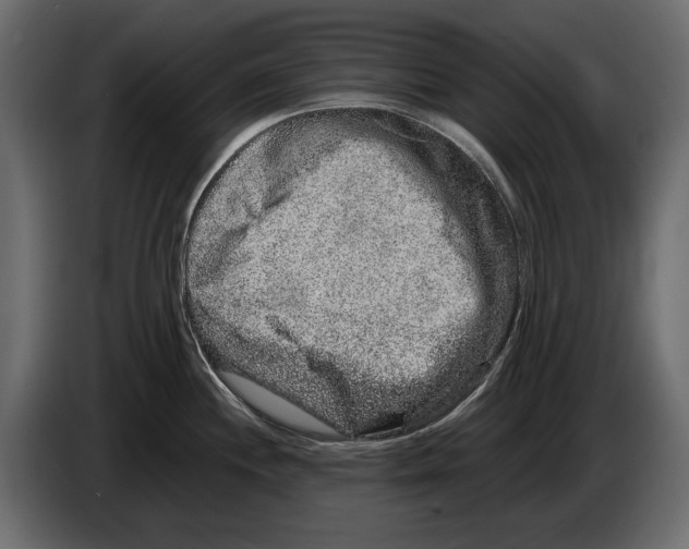 X0000082971244200703020227