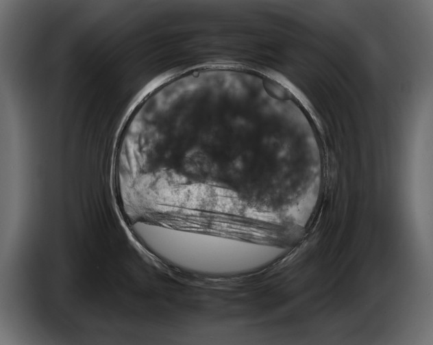 X0000082971245200703020227