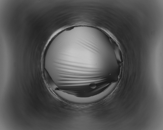 X0000082971246200703020227