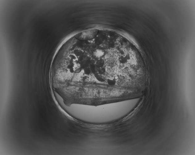 X0000082971247200703020227