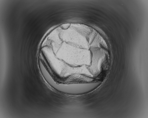 X0000082971248200703020227