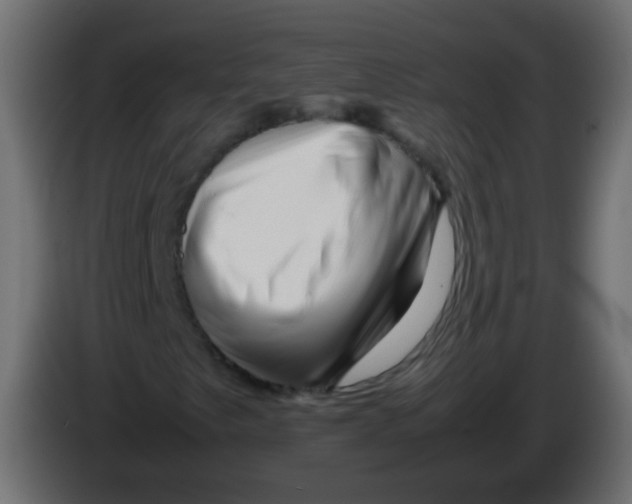 X0000082971249200703020227