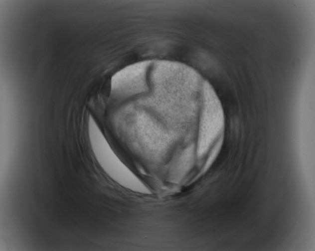 X0000082971250200703020227