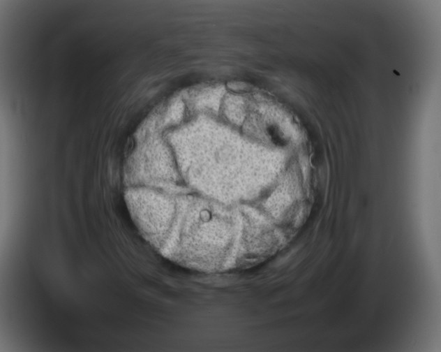 X0000082971251200703020227