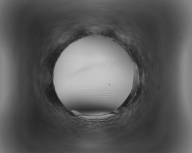 X0000082971253200703020227