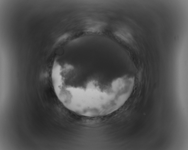 X0000082971254200703020227