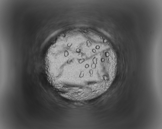 X0000082971255200703020227