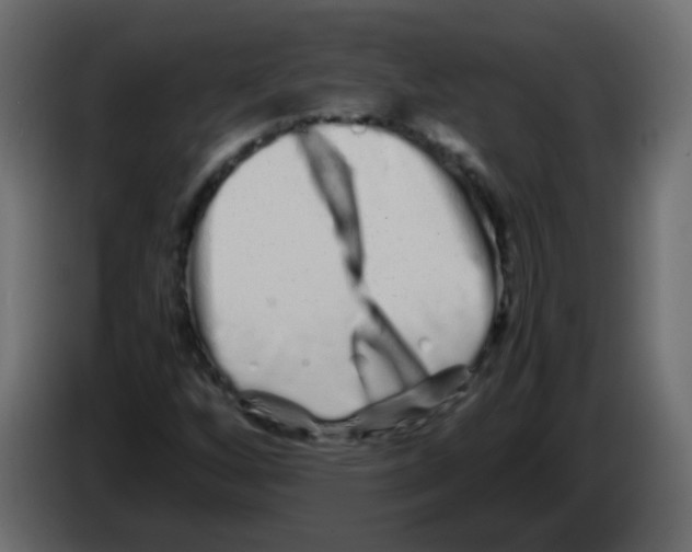 X0000082971256200703020227