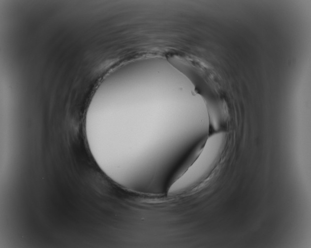 X0000082971257200703020227