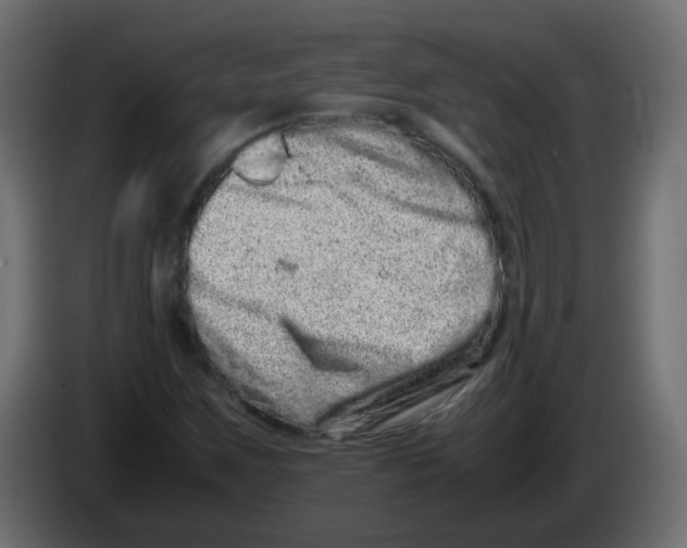 X0000082971259200703020226