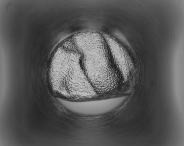 X0000082971260200703020226