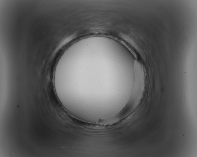 X0000082971261200703020226