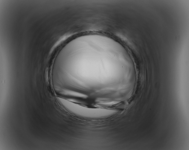 X0000082971262200703020226