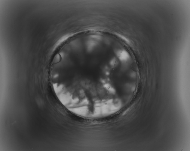 X0000082971263200703020226