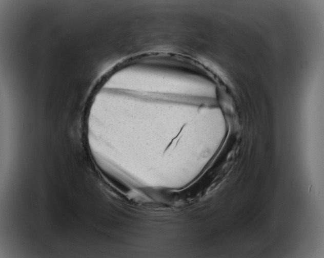 X0000082971264200703020226