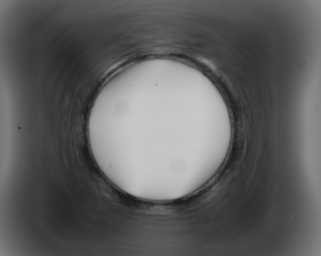 X0000082971265200703020226