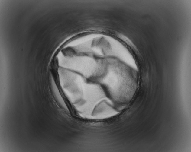 X0000082971268200703020226