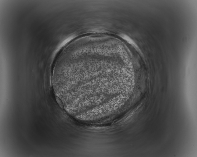 X0000082971269200703020226