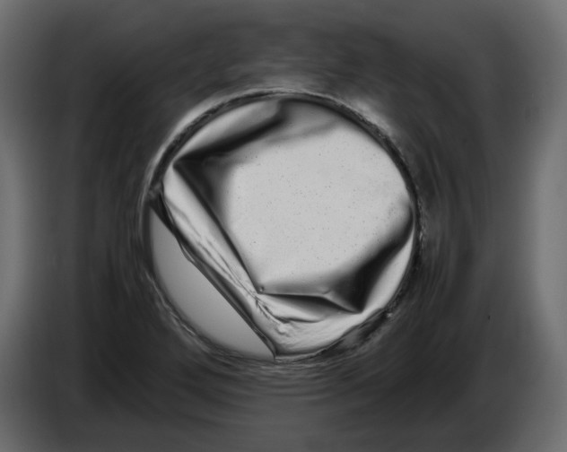 X0000082971272200703020226