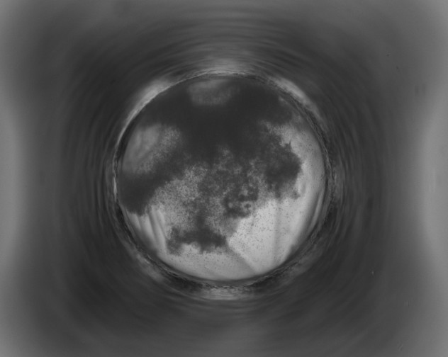 X0000082971274200703020226