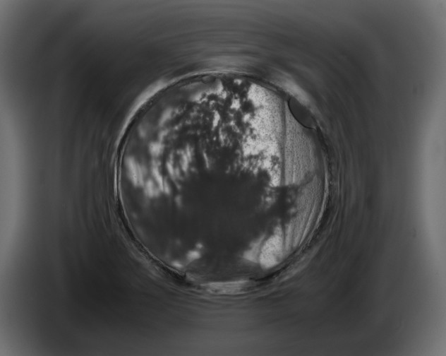 X0000082971275200703020226