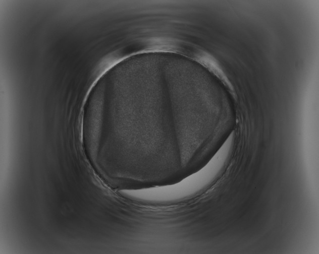 X0000082971276200703020226