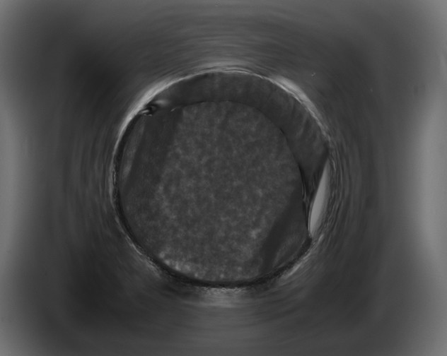 X0000082971277200703020226