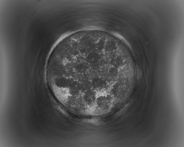 X0000082971278200703020226