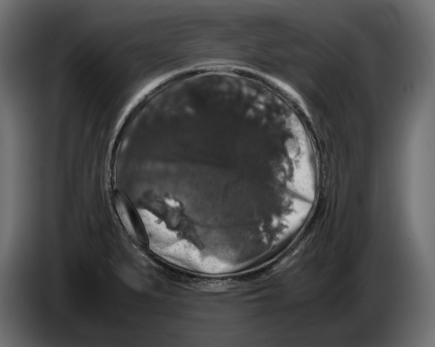 X0000082971279200703020226